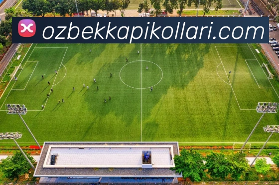乐竞官网登录入口发展历程